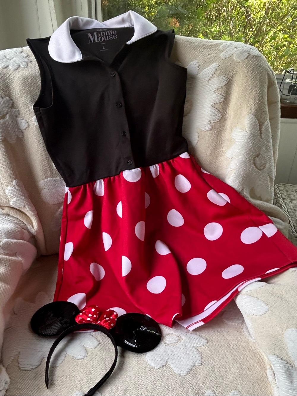 Disney Adult Minnie Mouse Dress & Ears Costume